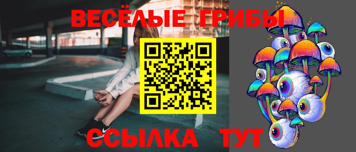 Псилоцибиновые грибы прущие грибы  наркошоп  Чистополь  Вход с VPN 