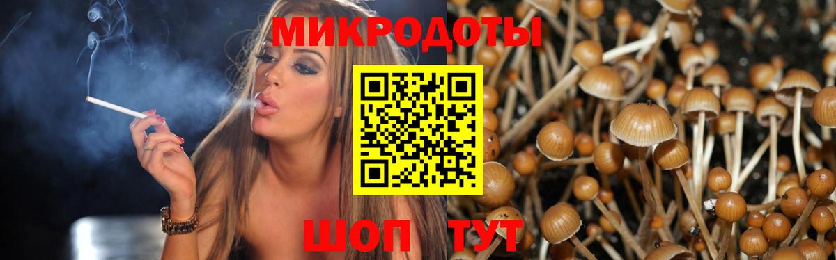 Псилоцибиновые грибы GOLDEN TEACHER Чистополь